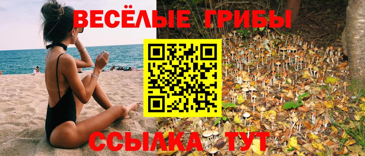Галлюциногенные грибы Magic Shrooms  Вход с VPN  Иваново  Псилоцибиновые грибы MAGIC MUSHROOMS 